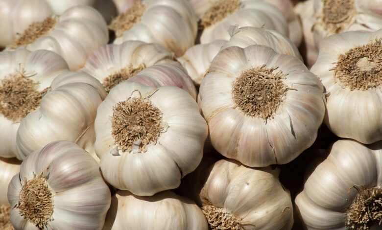 Garlic benefits