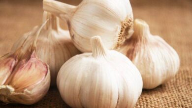 Photo of Garlic side effects – Abused consumption and expected reactions