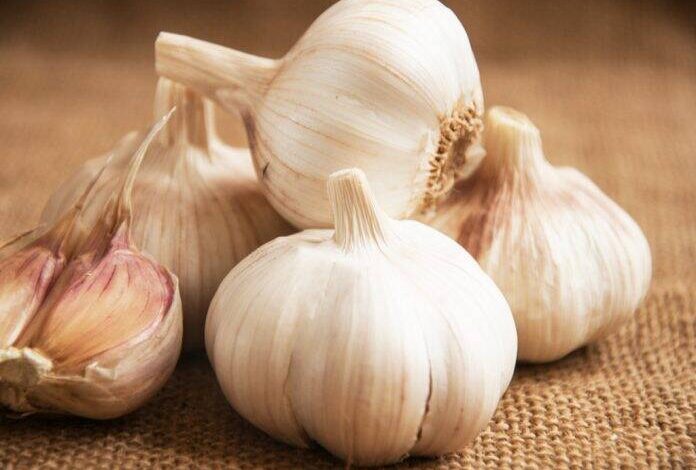 Garlic side effects