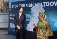 Photo of Ngozi Okonjo Iweala 1st Day in WTO Office
