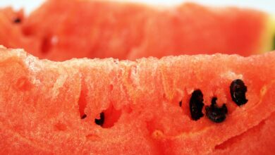 Photo of Is It Safe To Eat Watermelon Seeds?