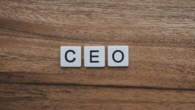 Photo of What are the Most Important Qualities for a CEO to be Successful?